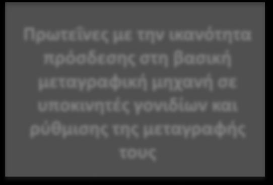 την ικανότητα πρόσδεσης στη βασική μεταγραφική μηχανή σε υποκινητές γονιδίων και