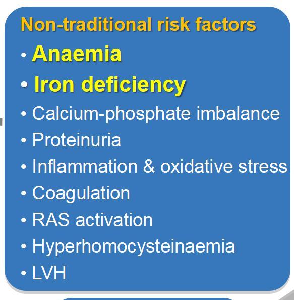 products; CKD: chronic kidney