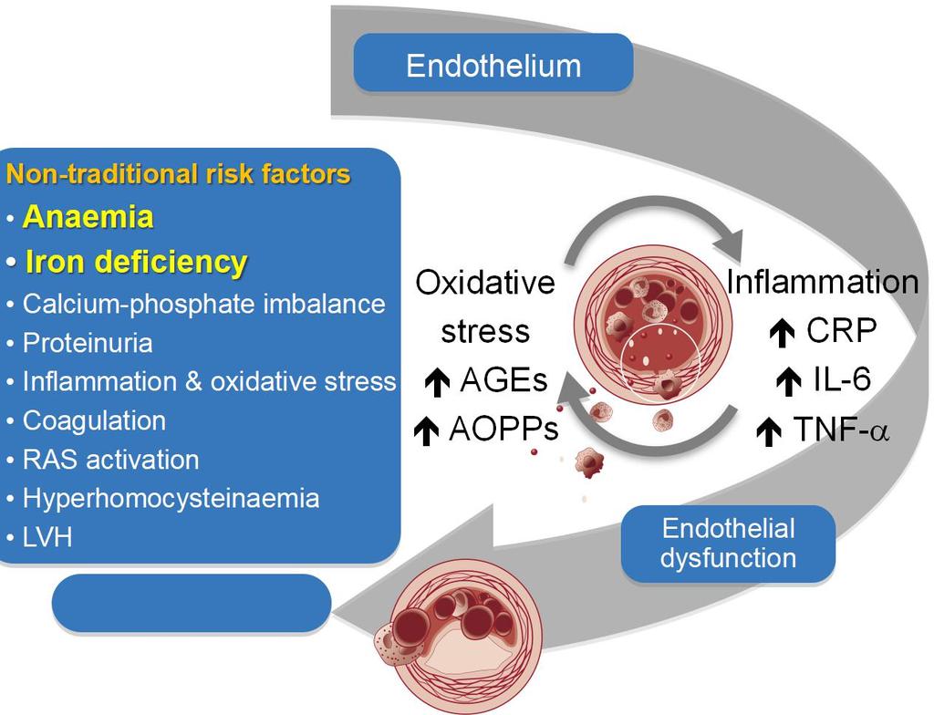 CV: cardiovascular; CVD: