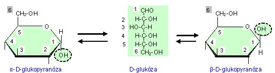 Cyklické formy obsahujú nové centrum chirality tzv.