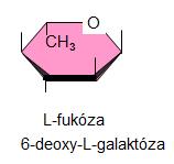 Deoxy sacharidy 6-deoxy-L-manóza