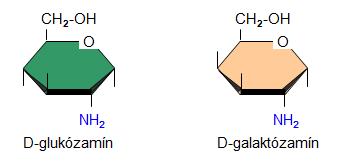 Amino sacharidy Amino skupina