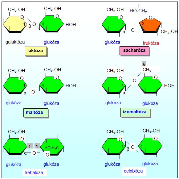 isacharidy (1 4) (1 2) Redukujúce: maltóza, laktóza,