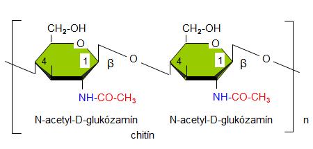 N-acetyl-Dglukózamínových