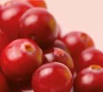 Maximálna odporúčaná denná dávka (15 ml) zodpovedá 38 300 mg čerstvých plodov brusníc.