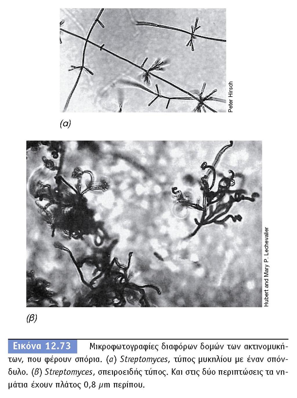 BIOΛOΓIA TΩN