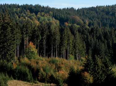 Národné programy Lesné hospodárstvo a trvalo udržateľný rozvoj Lesné hospodárstvo prešlo za posledné roky výraznými zmenami.