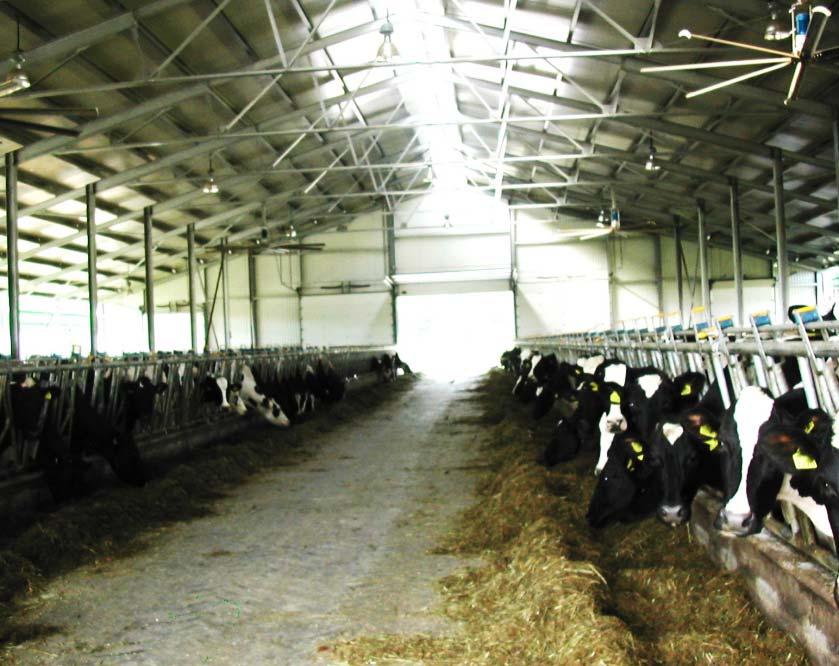 Activitate 2.1 Sincronizarea estrului la vaci prin utilizarea prostaglandinei F2 ɑ Studiul a fost efectuat în biobaza zootehnică la SCDCB Dancu, Iaşi pe vaci din rasa Bălţată cu Negru Românească.
