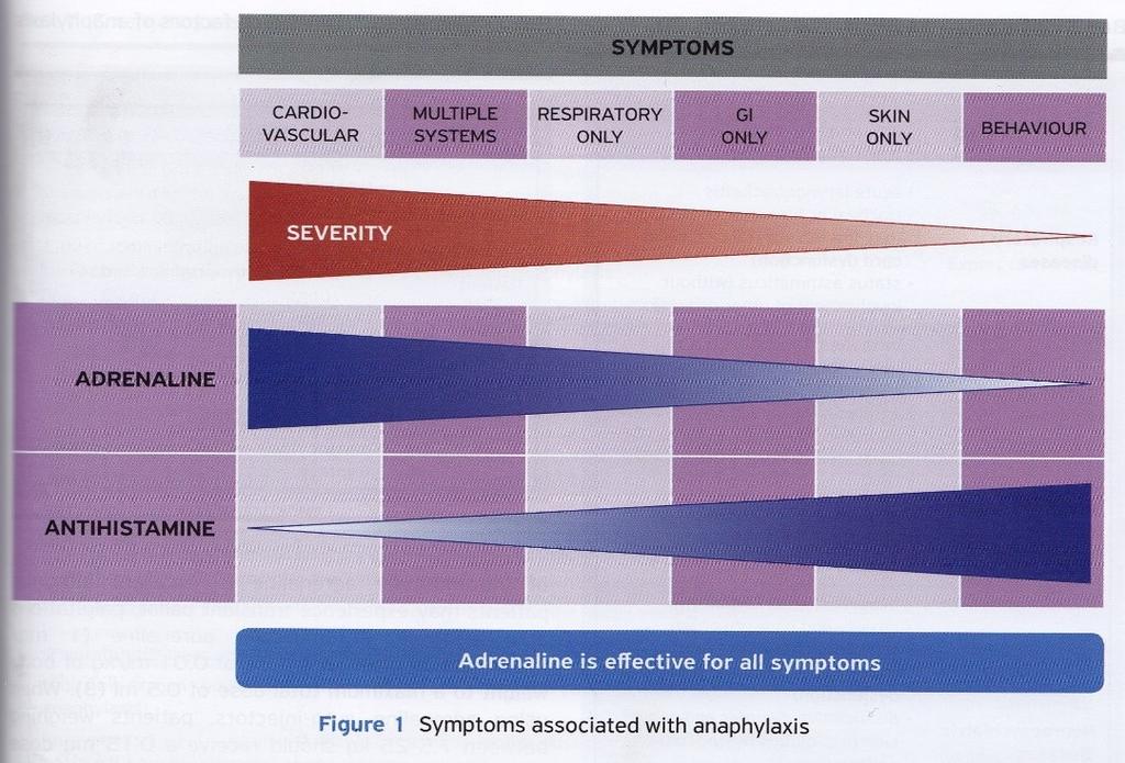 Adrenaliin on efektiivne kõigile anafülaksia sümptomitele Toimib: - α-1 retseptoritele perifeerne vasokonstriktsioon (limaskesta turse, hüpotensioon) - β-1 retseptoritele südame