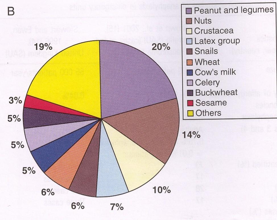 Põhilised toiduallergeenid EAACI anafülaksia juhis 2007 piim kiivi muna nisu pähklid