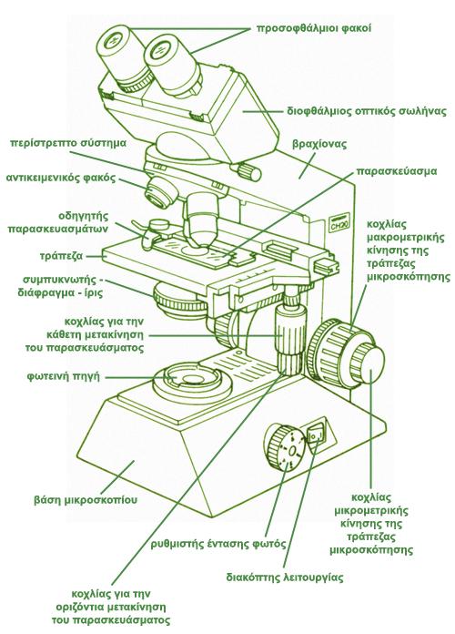 2 ΕΞΟΙΚΕΙΩΣΗ ΜΕ ΤΟ ΟΠΤΙΚΟ ΜΙΚΡΟΣΚΟΠΙΟ Στόχοι: Οι μαθητές (-ήτριες) - να προσεγγίσουν τις επιστημονικές μεθόδους με τις οποίες παράγεται η γνώση και πιο ειδικά τη μέθοδο της μικροσκοπίας.