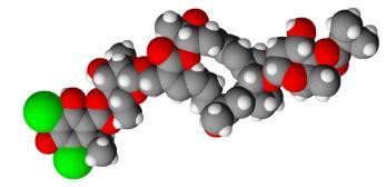 Fidaxomicin: Χημική δομή Fidaxomicin (C 52 H 74 Cl 2 O 18 ) Πρώτη σε μια νέα κατηγορία αντιβακτηριακών, γνωστών ως μακροκυκλικών 1 Προϊόν ζύμωσης από Dactylosporangium aurantiacum 1 Ακόρεστος