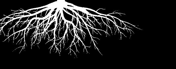 przydymiony system modułowy Earth Collection