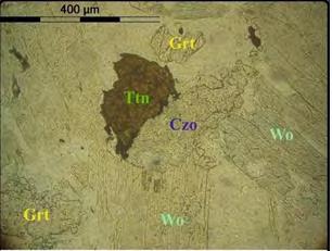Εικόνα: 5-35. Μικροφωτογραφία δείγματος της ζώνης Βολλαστονίτη Γρανάτη σε παράλληλα και διασταυρωμένα Nicols.