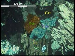 Τα ασβεστιτικά exo-skarn συνδέονται με αδροκρυσταλλικά μαζώδη κοιτάσματα βολλαστονίτη και μαγνητίτη και μεταλλοφορία χαλκοπυρίτη, βορνίτη και χαλκοσίνη.