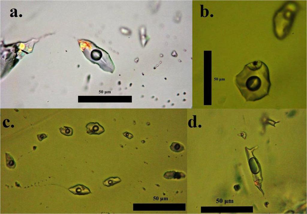 - Εικόνα: 9-2. Πανόραμα εικόνων πρωτογενών ρευστών εγκλεισμάτων από κρυστάλλους REE-επιδότων. Ειδικότερα, a. & b.: πρωτογενή πολυφασικά εγκλείσματα με χαμηλό ποσοστό αέριας φάσης (V 20-30%), c.