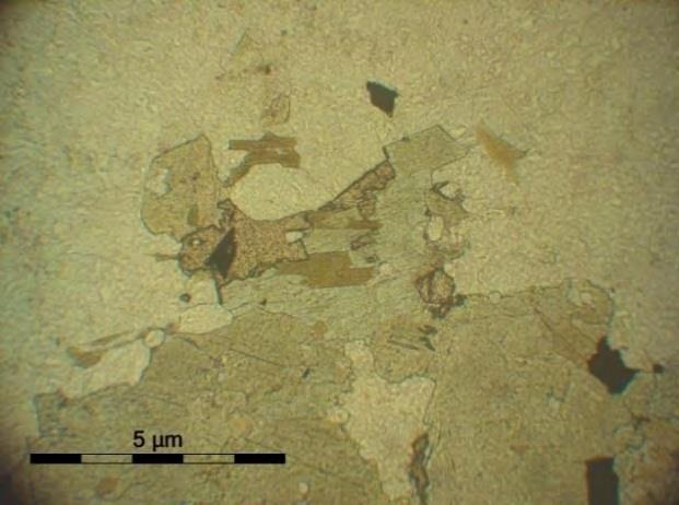 Εικόνα: 5-5.: Μικροφωτογραφία δείγματος γρανίτη σε παράλληλα και διασταυρωμένα Nicols. Παρατηρούνται κρύσταλλοι ορθοκλάστων που γειτνιάζουν με κρυστάλλους βιοτίτη και κεροστίλβης.