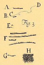 Ο van Leeuwenhoek κατασκεύασε εξαιρετικά απλά μικροσκόπια με έναν φακό, προκειμένου να εξετάσει διάφορες φυσικές ουσίες μικροοργανισμών (Εικόνα 1.14).