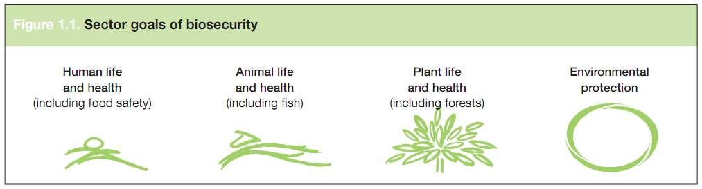 ΤΙ ΕΙΝΑΙ Η ΒΙΟ-ΑΣΦΑΛΕΙΑ; Η«Βιο-ασφάλεια»είναι η στρατηγική και ολοκληρωμένη προσέγγιση ανάλυσης και διαχείρισης σχετικών απειλών για τη ζωή και την υγεία των ανθρώπων, των ζώων και των φυτών καθώς