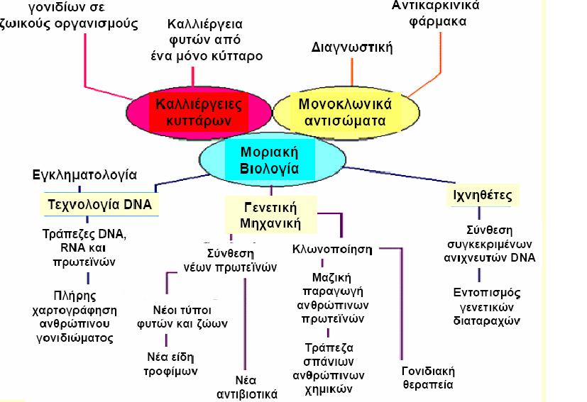 Γενετική µηχανική ηµιουργία διαγονιδιακών ή