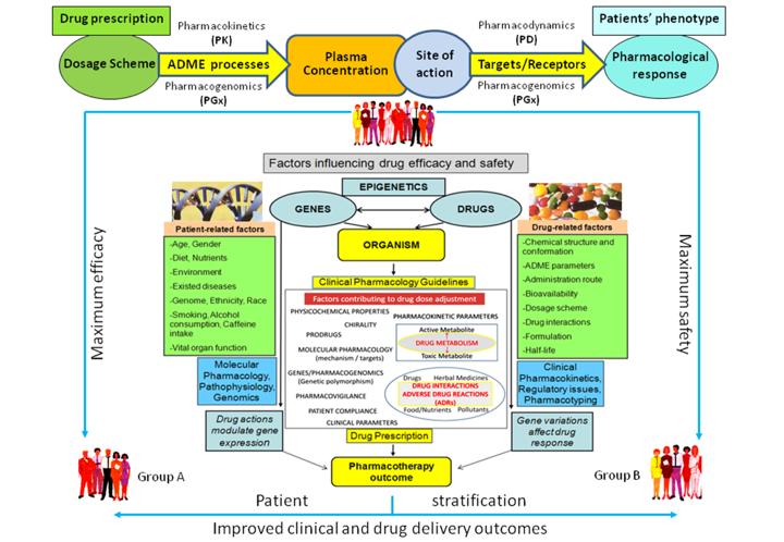 Education Clinical practice / Pharmaceutical care Research Vizirianakis I.S. (2014).