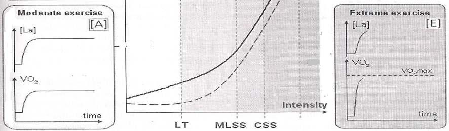 1 LT 2