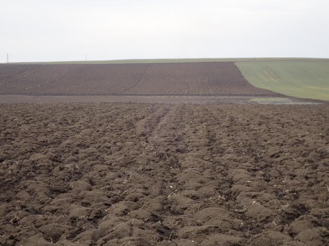 Η ομοιογένεια μπορεί να διαπιστωθεί μέσω εκτίμησης της τοπογραφίας, της χρήσης γης (διαφορετικοί τύποι καλλιεργειών) και της σύστασης του εδάφους.