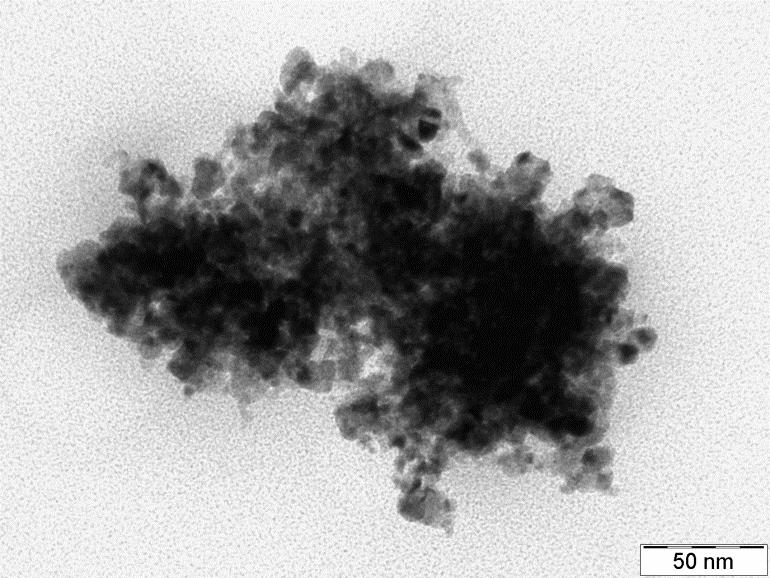 Figure S27: TEM image of as synthesized PDNPs