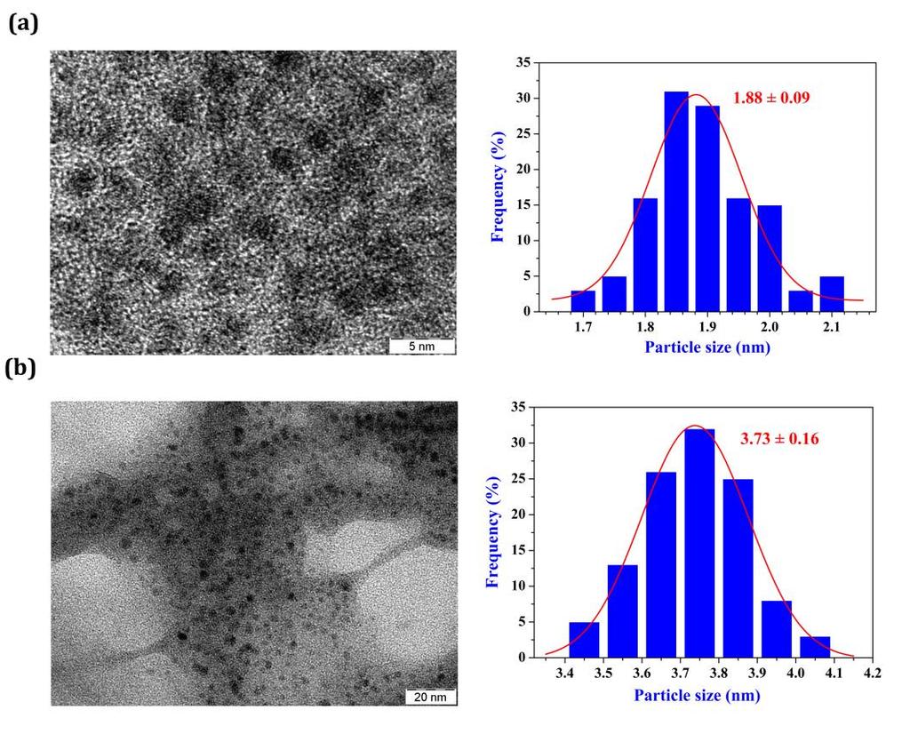 Figure S28: TEM image and particle size