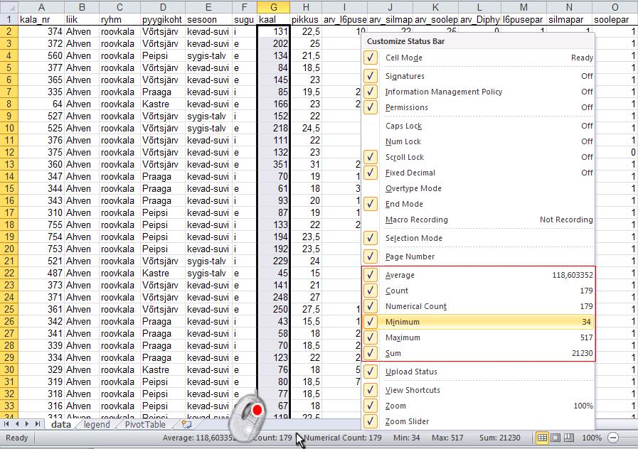 Kõige kiirem variant mõne olulisema arvkarakteristiku väärtuse teada saamiseks Excelis (näiteks minimaalse ja maksimaalse väärtuse välja selgitamiseks andmete kontrollimise või sagedustabeli klasside