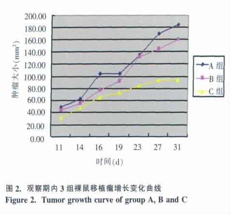 470. DC-CIK LI Si-yi, et al. The anti-tumor effect of co-cultured DC-CIK from peripheral blood to human tongue SCC cell line Tca8113 in vivo 2. 14d A B C 3 Table 2.