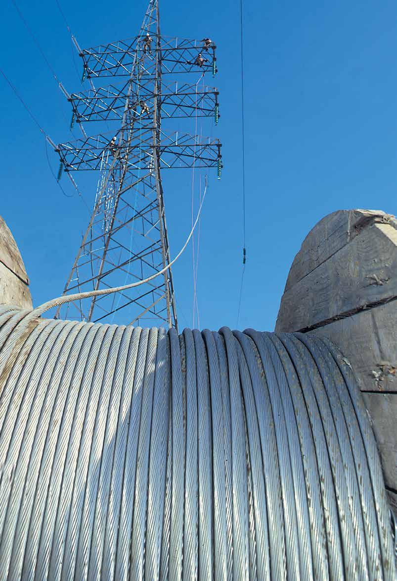 Δημόσια διακυβέρνηση Η Αρχή Ηλεκτρισμού Κύπρου ιδρύθηκε και λειτουργεί σύμφωνα με τις πρόνοιες του περί Ανάπτυξης Ηλεκτρισμού Νόμου, Κεφ.