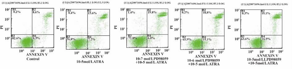 ERK1 /2 3 321 5 Fig.