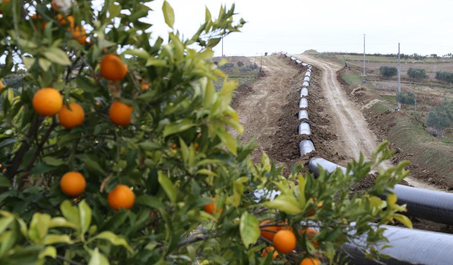 Οδηγίες της Ευρωπαϊκής Ένωσης και τα ακόλουθα διεθνή πρότυπα για τη διαχείριση περιβαλλοντικών και κοινωνικών κινδύνων, τα οποία στο παρόν έγγραφο θα αναφέρονται ως «πρότυπα δανειστών»: Απαιτήσεις