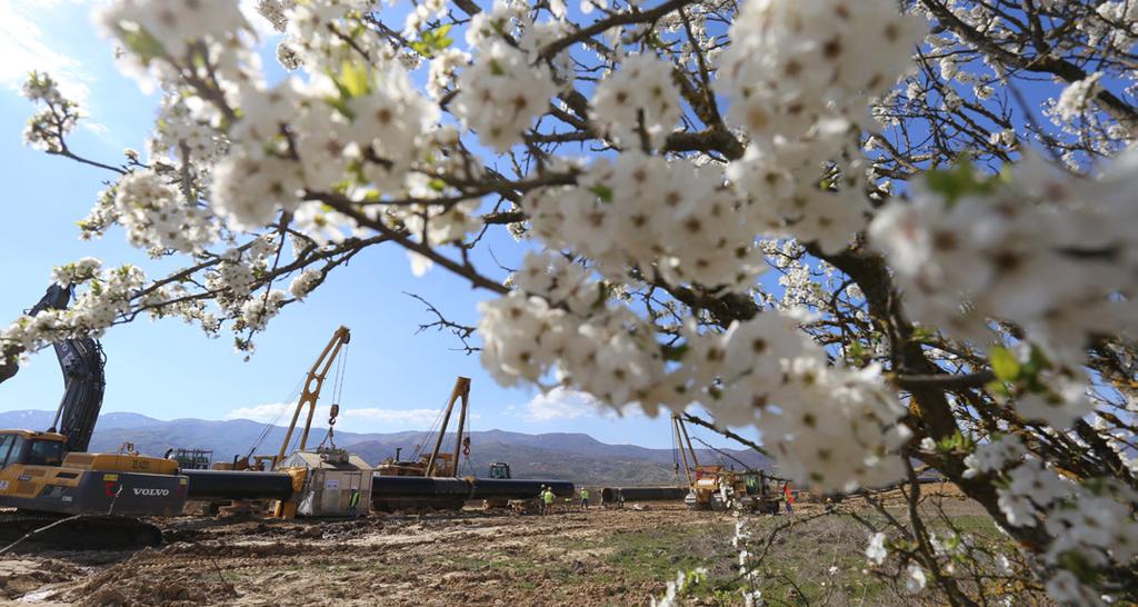 Κοινωνικές και οικονομικές επιπτώσεις Το Σχέδιο Διαχείρισης Κοινωνικών Επιπτώσεων (ΣΔΚΕ) του TAP παρέχει το πλαίσιο για τη διαχείριση των κοινωνικών επιπτώσεων του έργου.