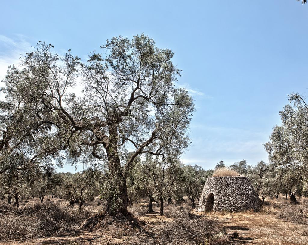 ΚΕΦΑΛΑΙΟ 09.