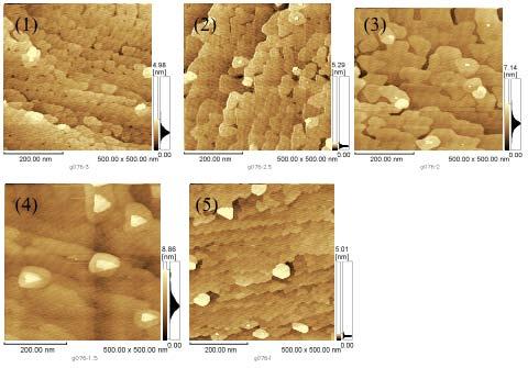 (a) RHEED pattern of 7x7 Si(111), (b) 8x8 RHEED pattern o fβ-si3n4, (c) Step pattern