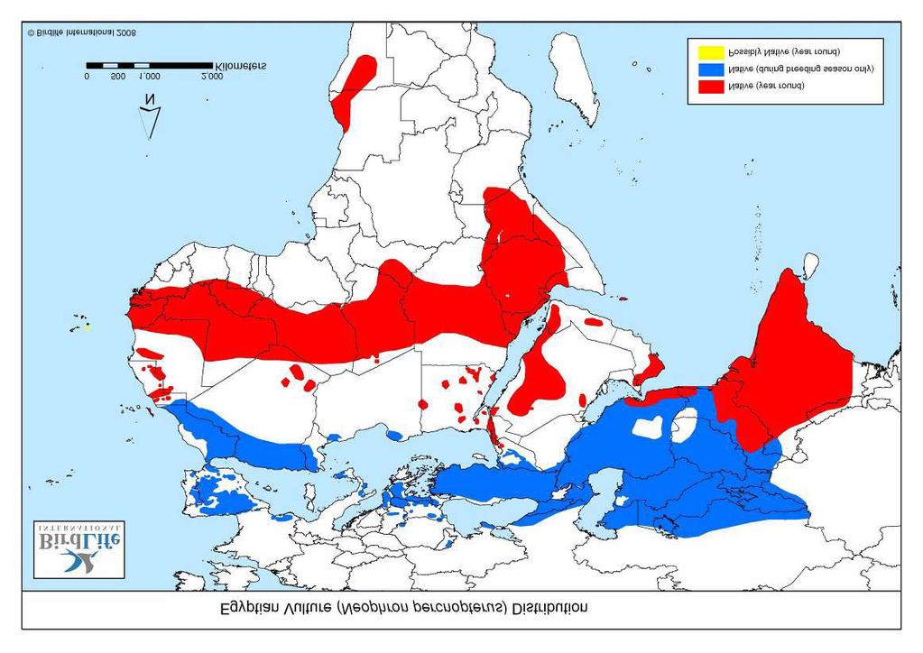8 Εικόνα 1: Παγκόσμια Εξάπλωση Ασπροπάρη [κόκκινες περιοχές: αυτόχθων (όλο τον χρόνο), μπλε περιοχές: αυτόχθων (μόνο κατά την αναπαραγωγή), κίτρινες (πιθανόν αυτόχθων).