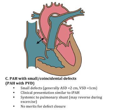 ΠΑΥ με μικρά ελλείμματα Δεν εξηγούν την σοβαρότητα της ΠAΥ Συνήθως VSD<1cm ASD <