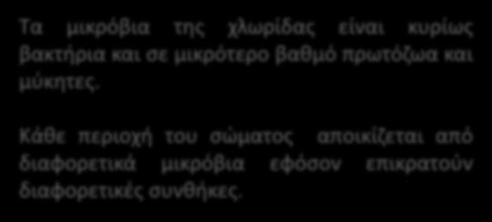 Η φυσιολογική χλωρίδα διακρίνεται σε μόνιμη ή ενδογενή, σε συμπληρωματική και σε παροδική χλωρίδα.