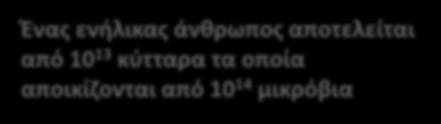 κύτταρα τα οποία αποικίζονται από 10 14 μικρόβια Ο αποικισμός του ανθρώπινου