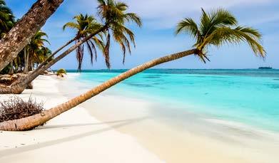 Ανακαλύψτε τις παραδεισένιες, εξωτικές παραλίες και τους μικρούς, ρομαντικούς κολπίσκους της Καραϊβικής μακριά από την πολυκοσμία του μαζικού τουρισμού.