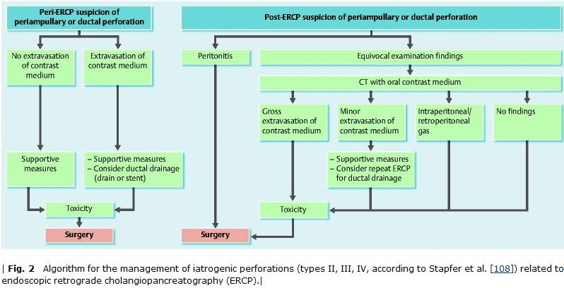 Diagnosis and management of iatrogenic perforations: ESGE Position Statement Endoscopy