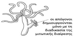 39. Η κειέηε ησλ γελεαινγηθψλ δέληξσλ φπσο είλαη γλσζηφ βνεζά ζηελ δηαπίζησζε ηνπ ηξφπνπ πνπ θιεξνλνκείηαη κία αζζέλεηα.