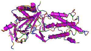 FTO Πρωτεΐνη FTO (Fat mass and Obesity associated) Πολυμορφισμός rs9939609 Αύξηση επιθυμίας πρόσληψης τροφής Καμία επίδραση στην