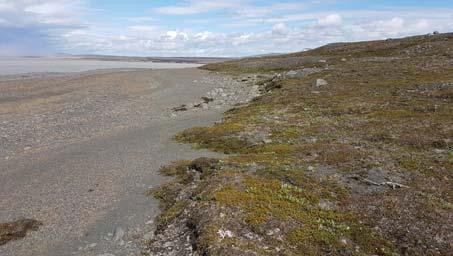 Tafla 5. Landbrot á austurströnd Kringilsárrana norðan Hrauka skv. ú ekt sumarið 2017. Nr.