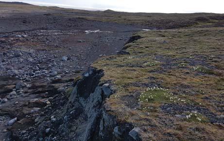 Landbrot á austurströnd Kringilsárrana sunnan Hrauka skv. ú ekt sumarið 2017. Nr. línu Landbrot Bakkagerð Hæð bakka Halli Lengd m 1 Ekkert eða mjög lí ð Sandströnd m.