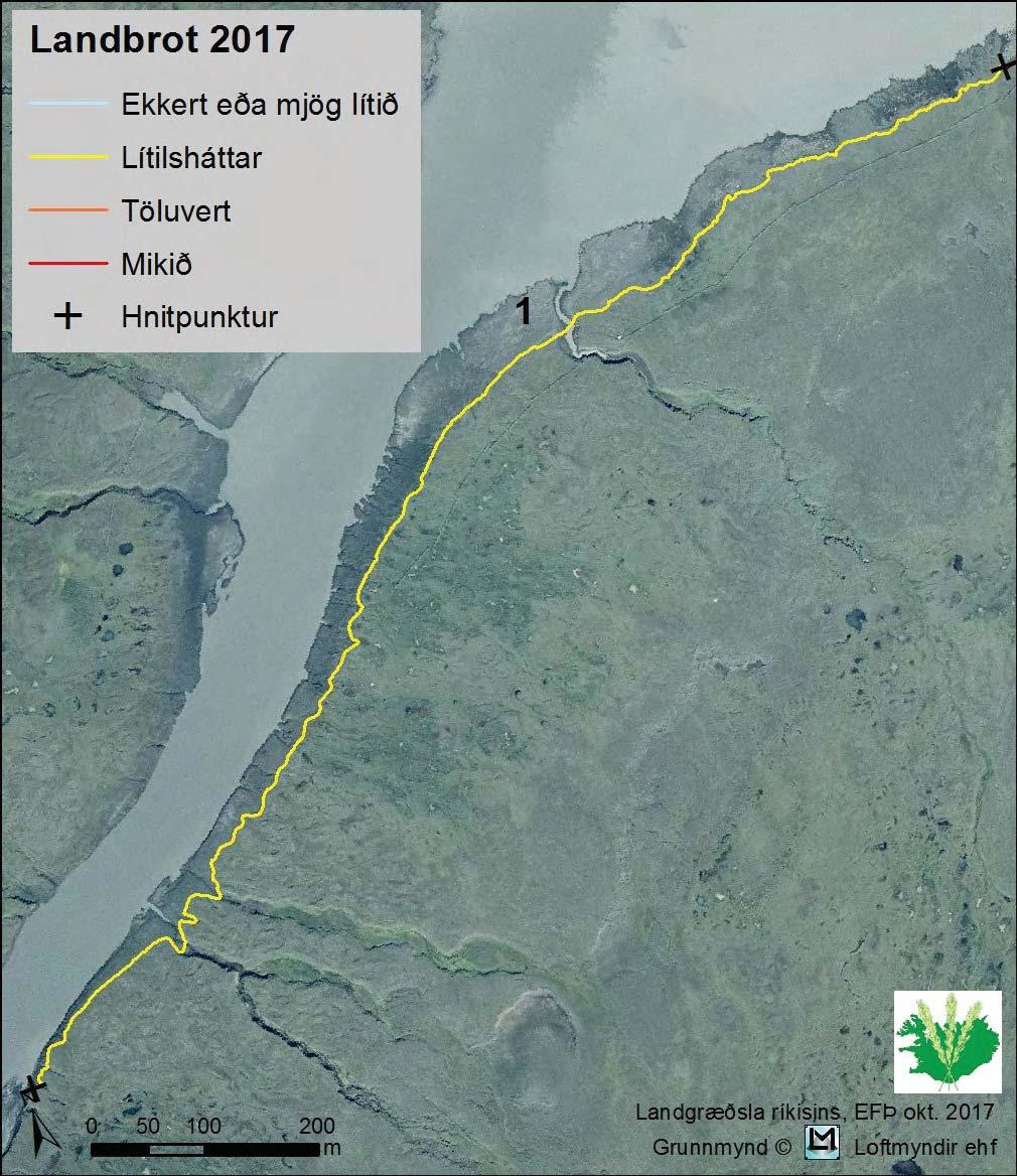 3.1 Við Kringilsá Landbrot við Kringilsá er lí lshá ar er þar er þó sandur og leir að kæfa gróður