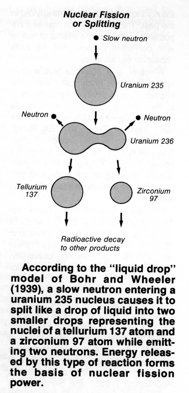 Το μοντέλο της σγρής σταγόνας (the liquid drop model) Ο πυρινασ ωσ ζνα ενιαίο κβαντικό ςωματίδιο.
