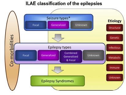 1.4. ΤΑΞΙΝΟΜΗΣΗ ΕΠΙΛΗΨΙΑΣ H νέα ταξινόμηση της επιληψίας από την ILAE βασίζεται κυρίως στην αιτιολογία σε κάθε στάδιο της διαγνωστικής διαδικασίας (Scheffer et al.